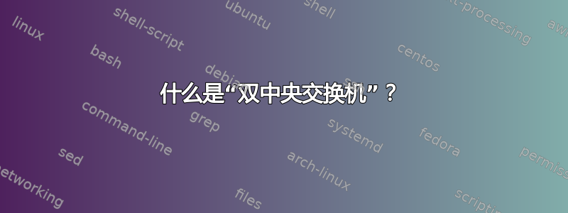 什么是“双中央交换机”？