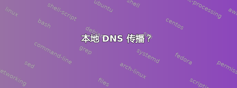 本地 DNS 传播？