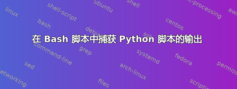 在 Bash 脚本中捕获 Python 脚本的输出