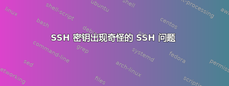 SSH 密钥出现奇怪的 SSH 问题