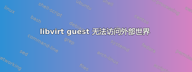 libvirt guest 无法访问外部世界