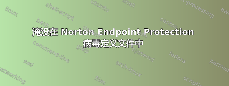 淹没在 Norton Endpoint Protection 病毒定义文件中