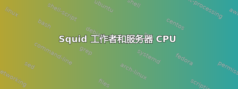 Squid 工作者和服务器 CPU