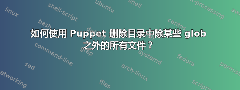 如何使用 Puppet 删除目录中除某些 glob 之外的所有文件？