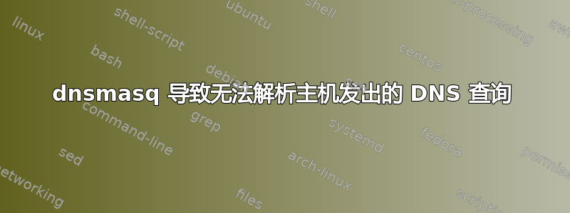 dnsmasq 导致无法解析主机发出的 DNS 查询