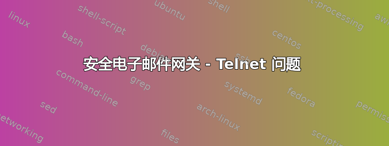 安全电子邮件网关 - Telnet 问题