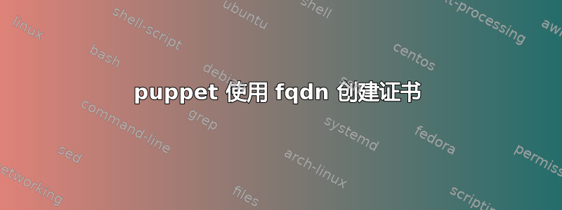 puppet 使用 fqdn 创建证书