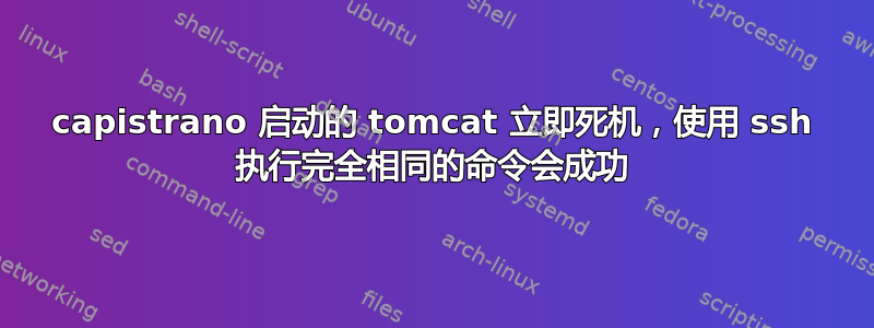 capistrano 启动的 tomcat 立即死机，使用 ssh 执行完全相同的命令会成功