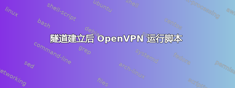 隧道建立后 OpenVPN 运行脚本