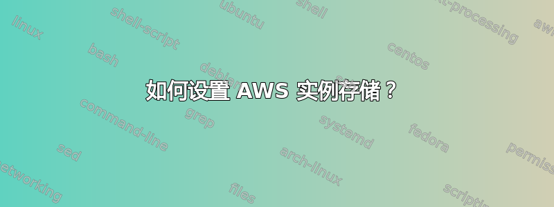 如何设置 AWS 实例存储？