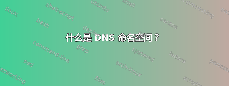 什么是 DNS 命名空间？