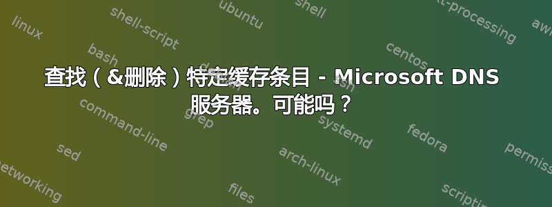 查找（&删除）特定缓存条目 - Microsoft DNS 服务器。可能吗？