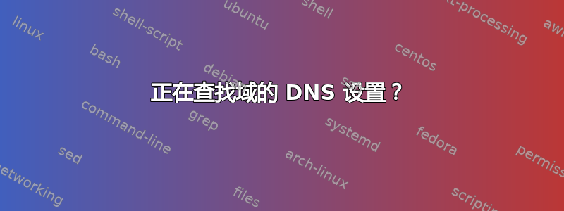 正在查找域的 DNS 设置？