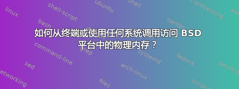 如何从终端或使用任何系统调用访问 BSD 平台中的物理内存？