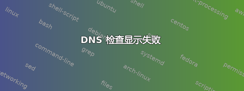 DNS 检查显示失败