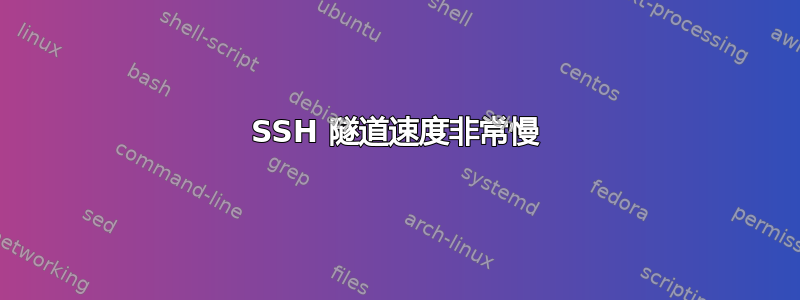 SSH 隧道速度非常慢