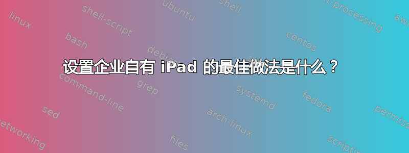 设置企业自有 iPad 的最佳做法是什么？