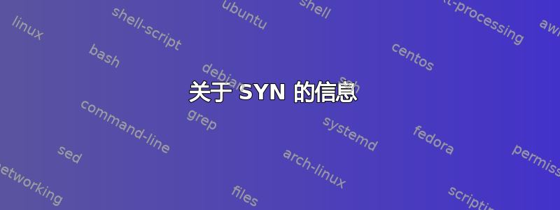 关于 SYN 的信息 