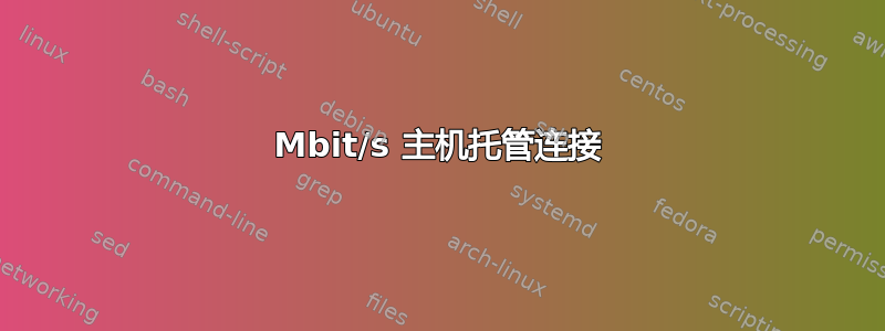 100 Mbit/s 主机托管连接 