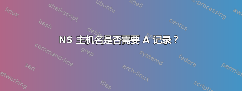 NS 主机名是否需要 A 记录？