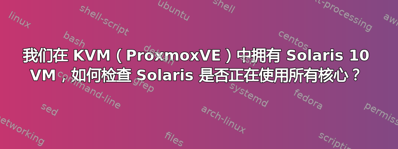 我们在 KVM（ProxmoxVE）中拥有 Solaris 10 VM，如何检查 Solaris 是否正在使用所有核心？