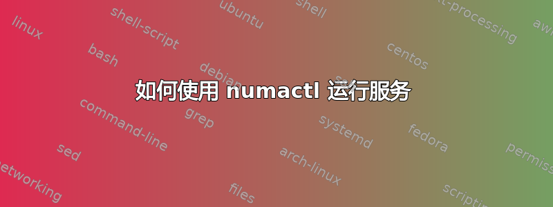 如何使用 numactl 运行服务