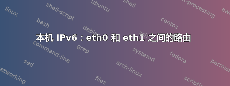 本机 IPv6：eth0 和 eth1 之间的路由