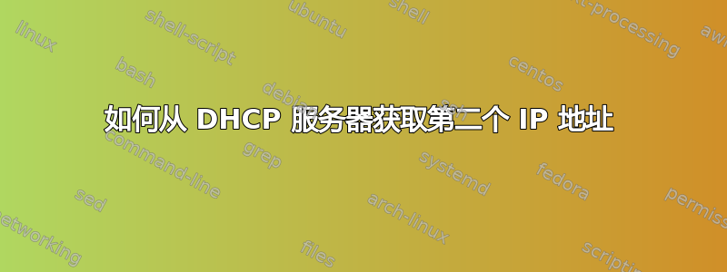 如何从 DHCP 服务器获取第二个 IP 地址