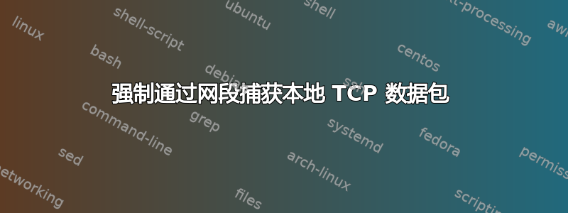 强制通过网段捕获本地 TCP 数据包