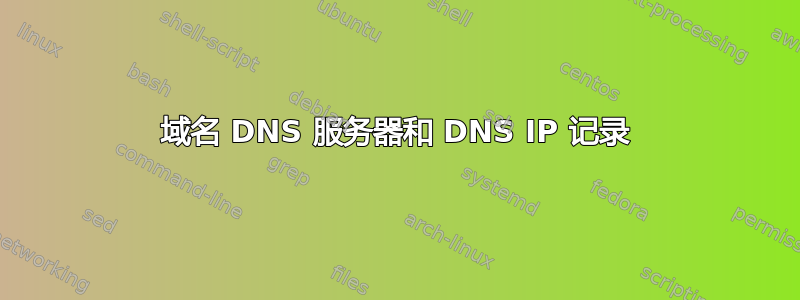 域名 DNS 服务器和 DNS IP 记录