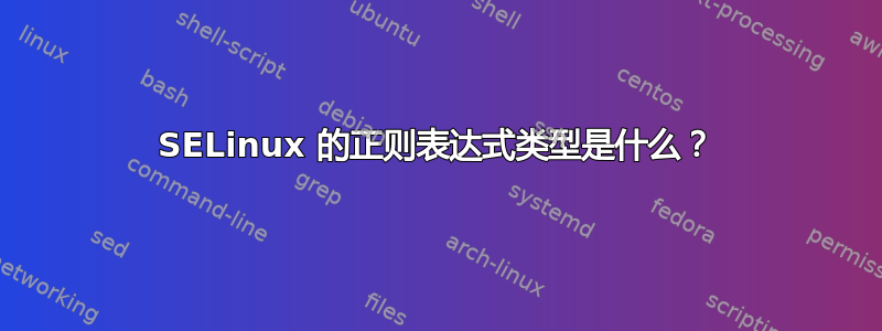 SELinux 的正则表达式类型是什么？