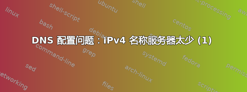 DNS 配置问题：IPv4 名称服务器太少 (1)