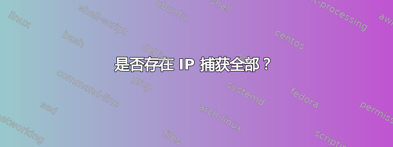 是否存在 IP 捕获全部？