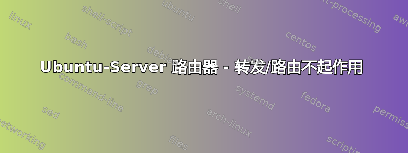 Ubuntu-Server 路由器 - 转发/路由不起作用