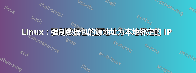 Linux：强制数据包的源地址为本地绑定的 IP