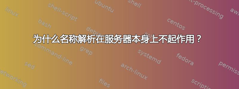 为什么名称解析在服务器本身上不起作用？