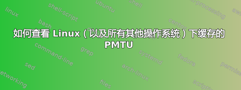 如何查看 Linux（以及所有其他操作系统）下缓存的 PMTU