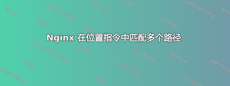 Nginx 在位置指令中匹配多个路径