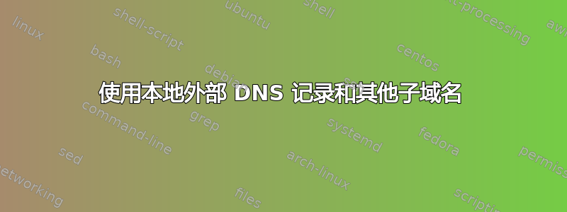 使用本地外部 DNS 记录和其他子域名