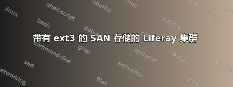 带有 ext3 的 SAN 存储的 Liferay 集群