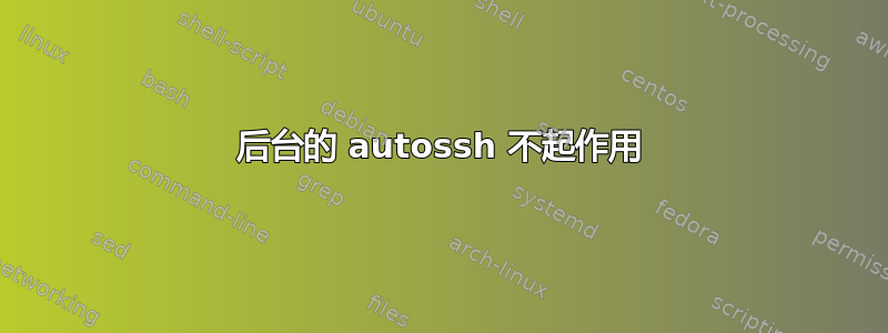 后台的 autossh 不起作用