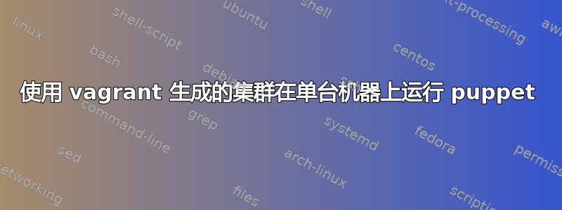 使用 vagrant 生成的集群在单台机器上运行 puppet