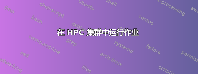 在 HPC 集群中运行作业