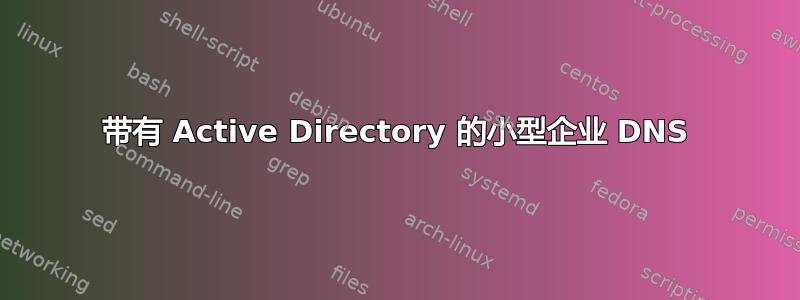 带有 Active Directory 的小型企业 DNS