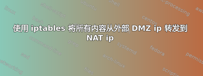 使用 iptables 将所有内容从外部 DMZ ip 转发到 NAT ip