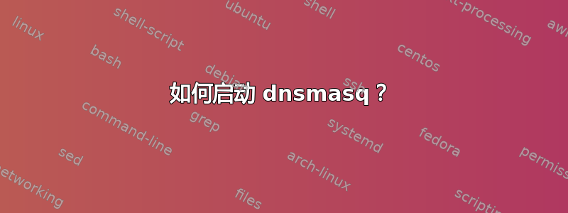 如何启动 dnsmasq？