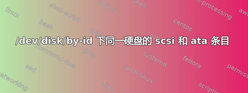 /dev/disk/by-id 下同一硬盘的 scsi 和 ata 条目