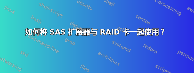 如何将 SAS 扩展器与 RAID 卡一起使用？