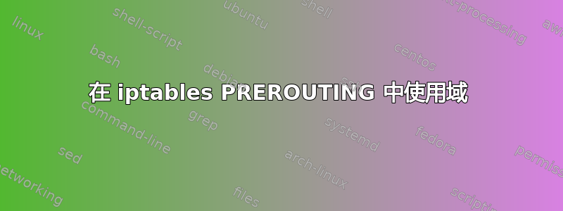 在 iptables PREROUTING 中使用域