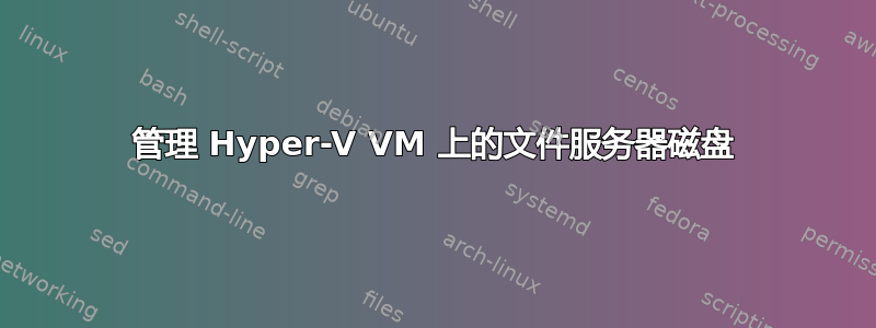 管理 Hyper-V VM 上的文件服务器磁盘